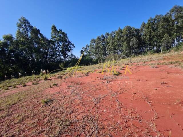 Terreno para Venda em Vera Cruz - 5
