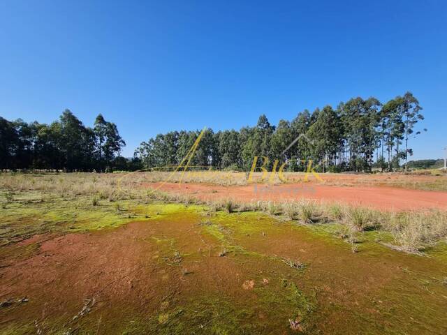 Terreno para Venda em Vera Cruz - 4