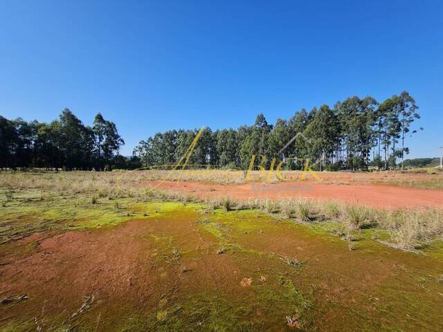 Terreno para Venda em Vera Cruz - 5
