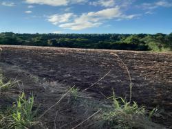 #1045 - Chácara para Venda em Vera Cruz - RS - 3