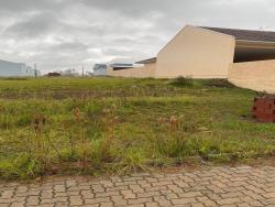 #701 - Terreno para Venda em Vera Cruz - RS - 1
