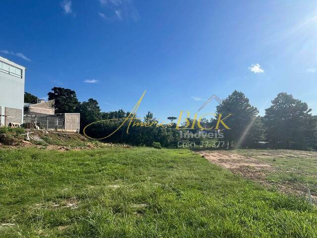 Terreno para Venda em Santa Cruz do Sul - 3