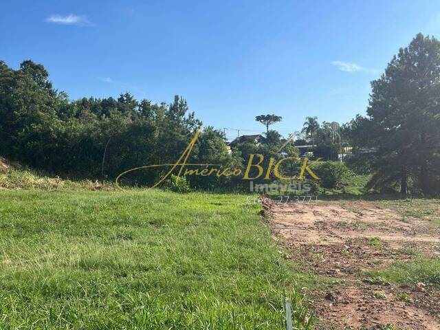 Terreno para Venda em Santa Cruz do Sul - 4