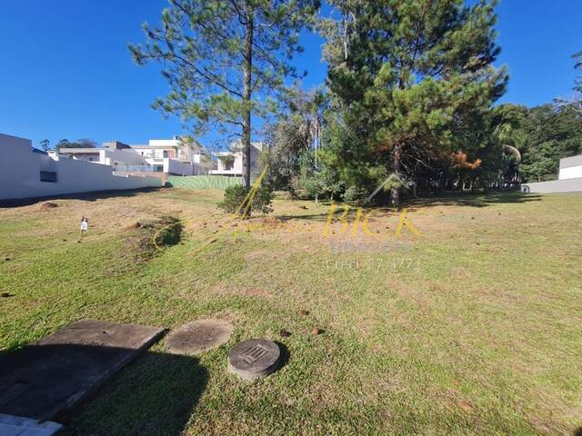 Terreno para Venda em Santa Cruz do Sul - 3