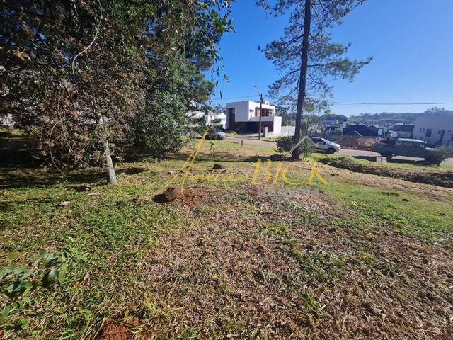 Terreno para Venda em Santa Cruz do Sul - 4