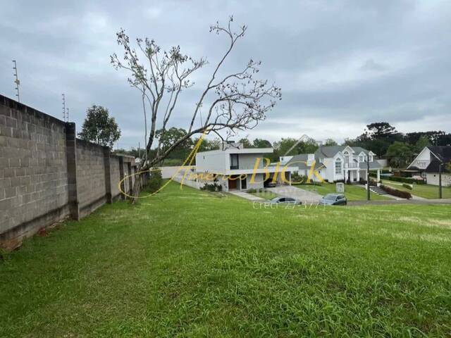 Terreno para Venda em Santa Cruz do Sul - 4