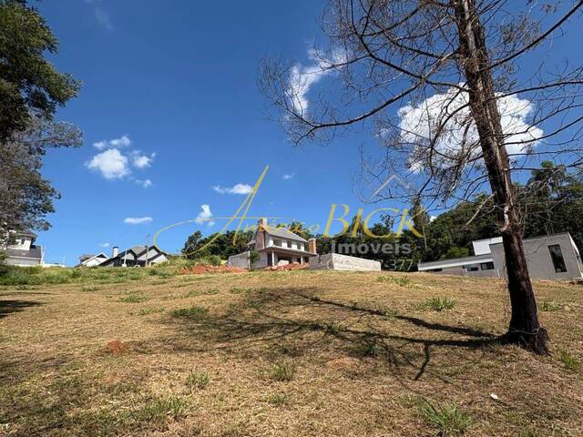 #1053 - Terreno para Venda em Santa Cruz do Sul - RS - 1