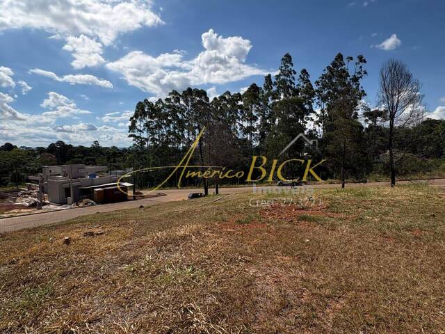 #1053 - Terreno para Venda em Santa Cruz do Sul - RS - 3