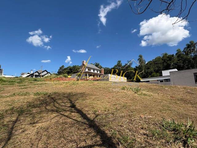 Terreno para Venda em Santa Cruz do Sul - 4