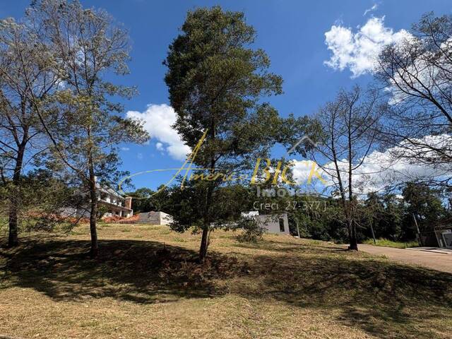 Terreno para Venda em Santa Cruz do Sul - 5