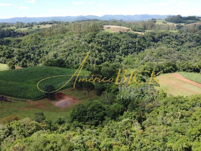 Chácara para Venda em Santa Cruz do Sul - 5