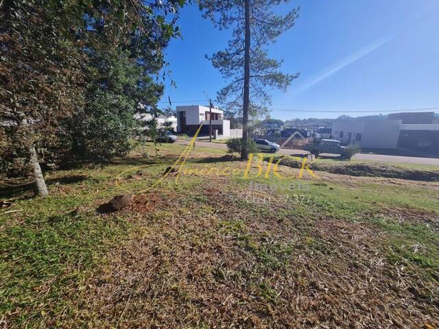 Terreno para Venda em Santa Cruz do Sul - 5