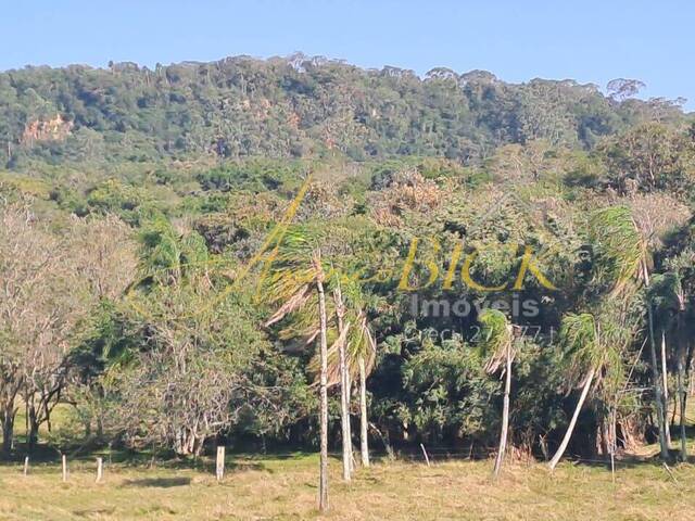 Chácara para Venda em Santa Cruz do Sul - 2