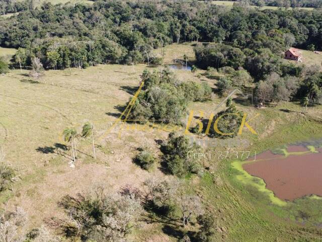 Chácara para Venda em Santa Cruz do Sul - 5