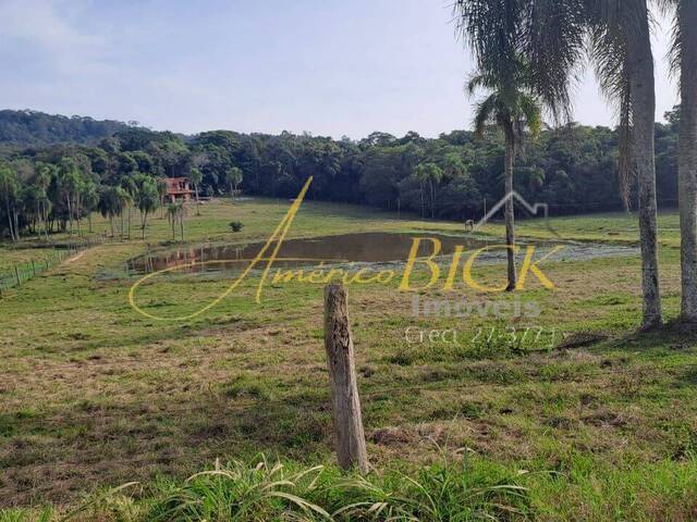 Chácara para Venda em Santa Cruz do Sul - 5