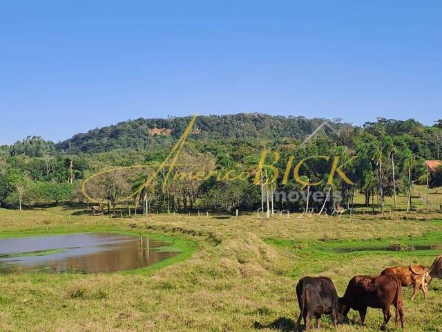#CHA-045 - Chácara para Venda em Santa Cruz do Sul - RS