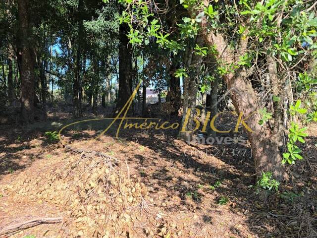 Terreno para Venda em Santa Cruz do Sul - 4