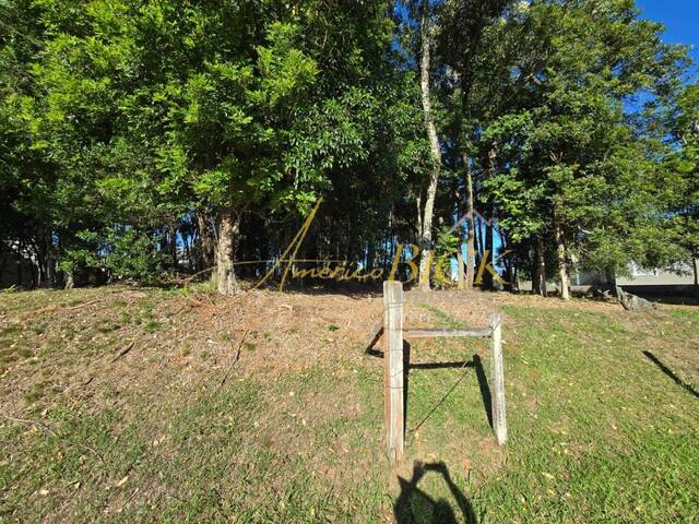 Terreno para Venda em Santa Cruz do Sul - 5