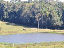 Venda em João Alves - Santa Cruz do Sul