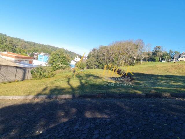 #359 - Terreno para Venda em Santa Cruz do Sul - RS - 1