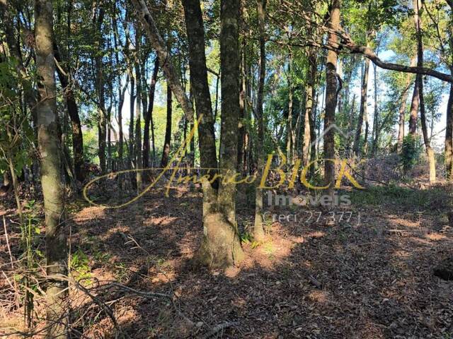 #1039 - Terreno para Venda em Santa Cruz do Sul - RS - 2