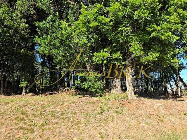 Terreno para Venda em Santa Cruz do Sul - 5