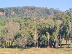 Venda em João Alves - Santa Cruz do Sul