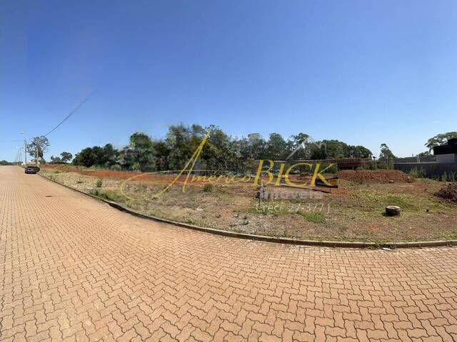 #305 - Terreno para Venda em Santa Cruz do Sul - RS - 1