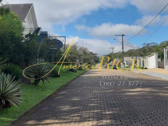 #609 - Terreno para Venda em Santa Cruz do Sul - RS - 1