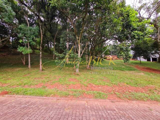Terreno para Venda em Santa Cruz do Sul - 3