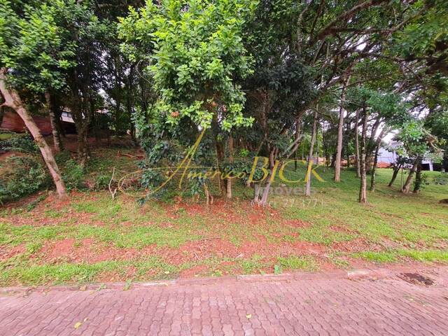 Terreno para Venda em Santa Cruz do Sul - 5