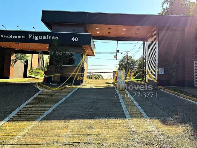 #1040 - Terreno para Venda em Santa Cruz do Sul - RS - 1