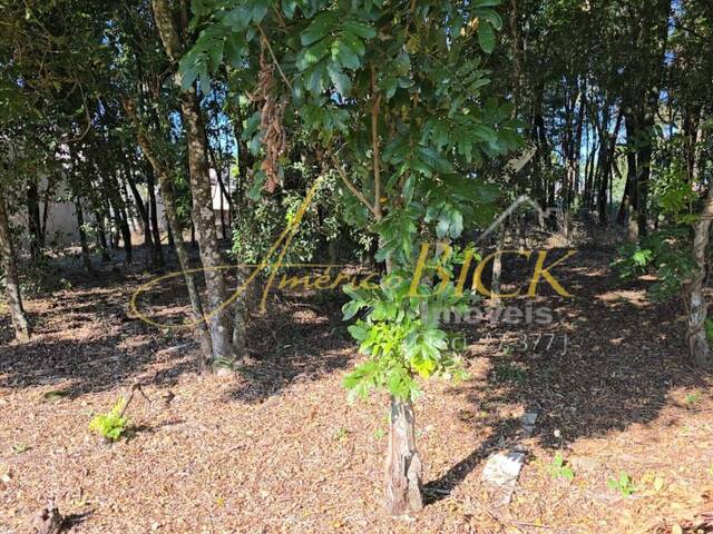 Terreno para Venda em Santa Cruz do Sul - 4