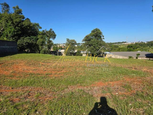 Terreno para Venda em Santa Cruz do Sul - 4
