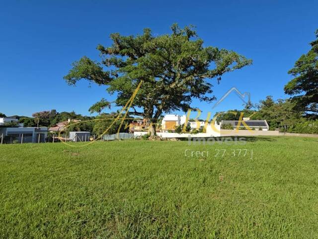 Terreno para Venda em Santa Cruz do Sul - 3