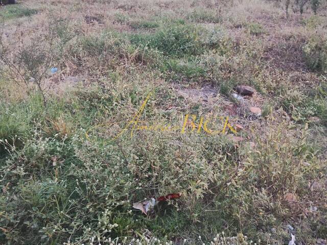 #1175 - Terreno para Venda em Santa Cruz do Sul - RS - 2