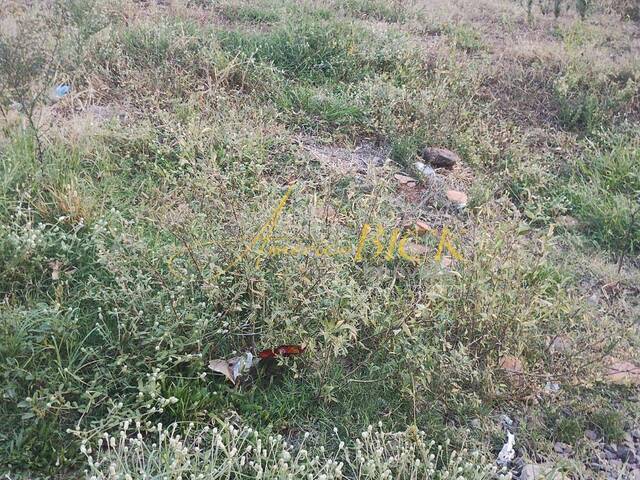 Terreno para Venda em Santa Cruz do Sul - 5