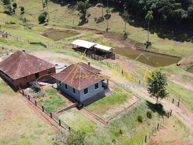 Chácara para Venda em Santa Cruz do Sul - 3