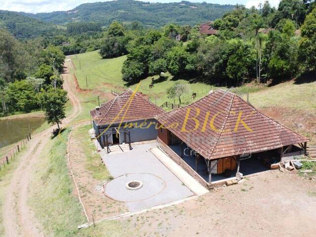 Chácara para Venda em Santa Cruz do Sul - 5