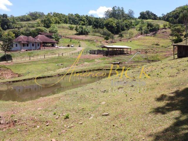 Chácara para Venda em Santa Cruz do Sul - 5