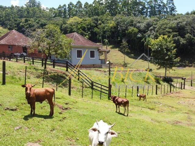 Chácara para Venda em Santa Cruz do Sul - 4
