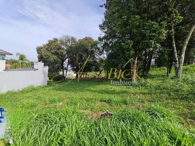 Terreno para Venda em Santa Cruz do Sul - 4