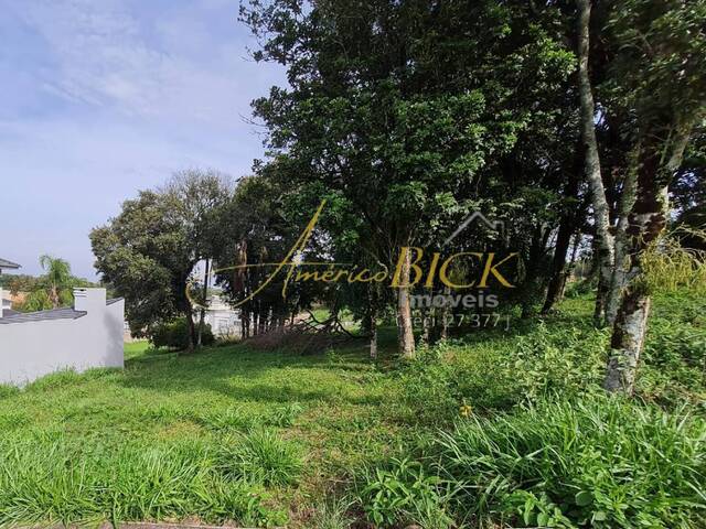 Terreno para Venda em Santa Cruz do Sul - 5