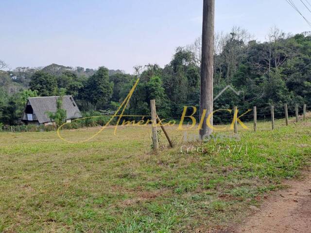 Terreno para Venda em Santa Cruz do Sul - 4
