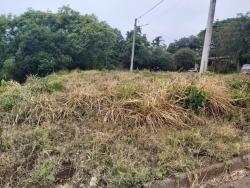 #700 - Terreno para Venda em Santa Cruz do Sul - RS - 1