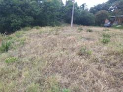 #700 - Terreno para Venda em Santa Cruz do Sul - RS - 3