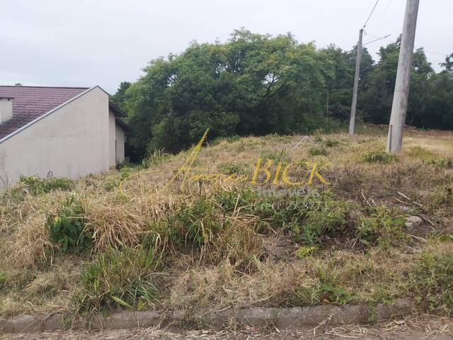Terreno para Venda em Santa Cruz do Sul - 4