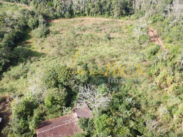 Chácara para Venda em Santa Cruz do Sul - 4