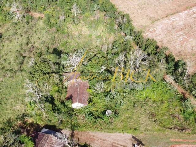 Chácara para Venda em Santa Cruz do Sul - 5